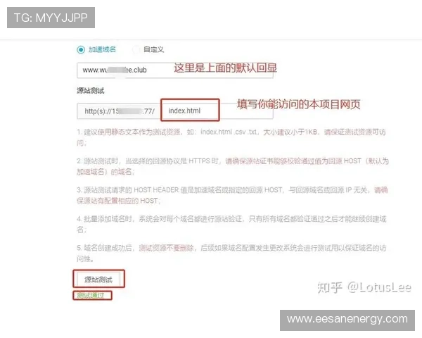 开云网站域名安全保护措施全面解析确保你的域名资产安全无忧