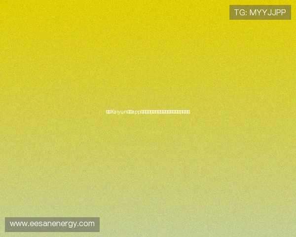 开云Kaiyun官网app版本更新内容详解，了解最新功能与优化改进